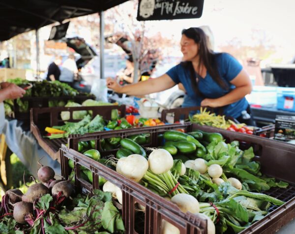 Marché public de Malartic