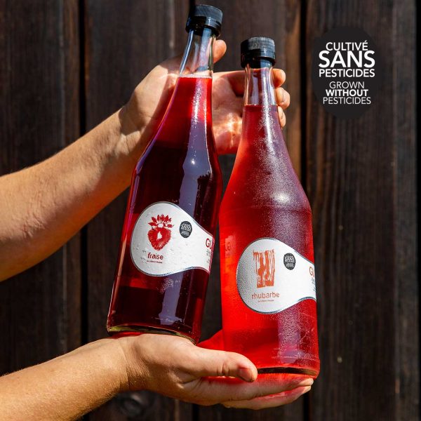 6X Guizou mélange fraise ET rhubarbe 750 mL