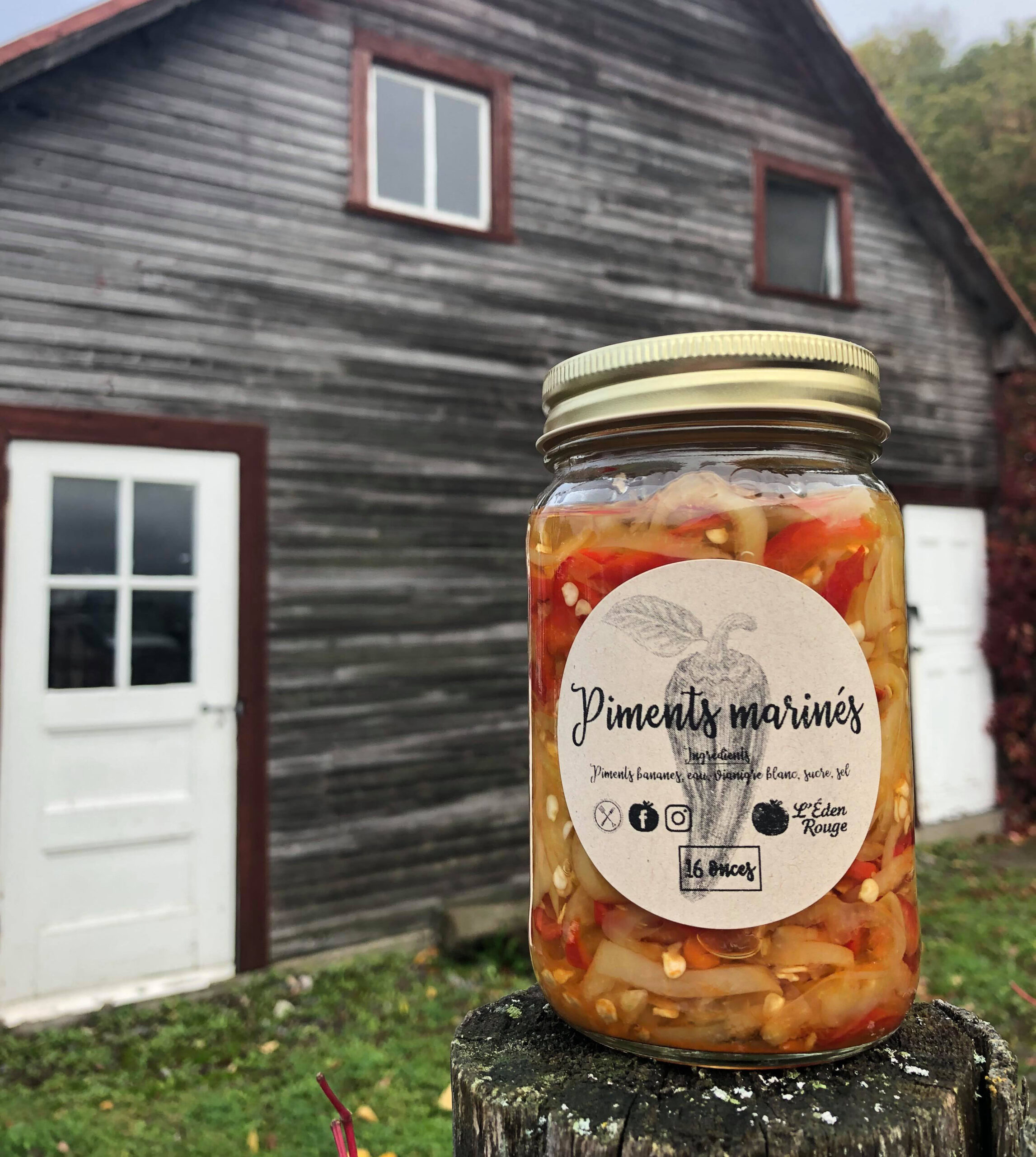 Piments bananes marinés (420 ml)