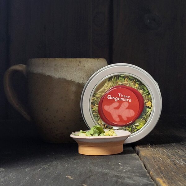 Tisane Gingembre