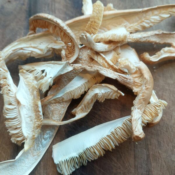 champignon Matsutake déshydraté
