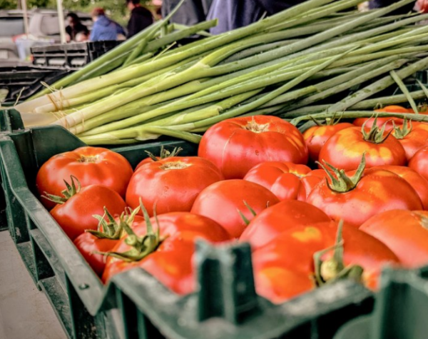 Marché public de La Sarre_Légumes