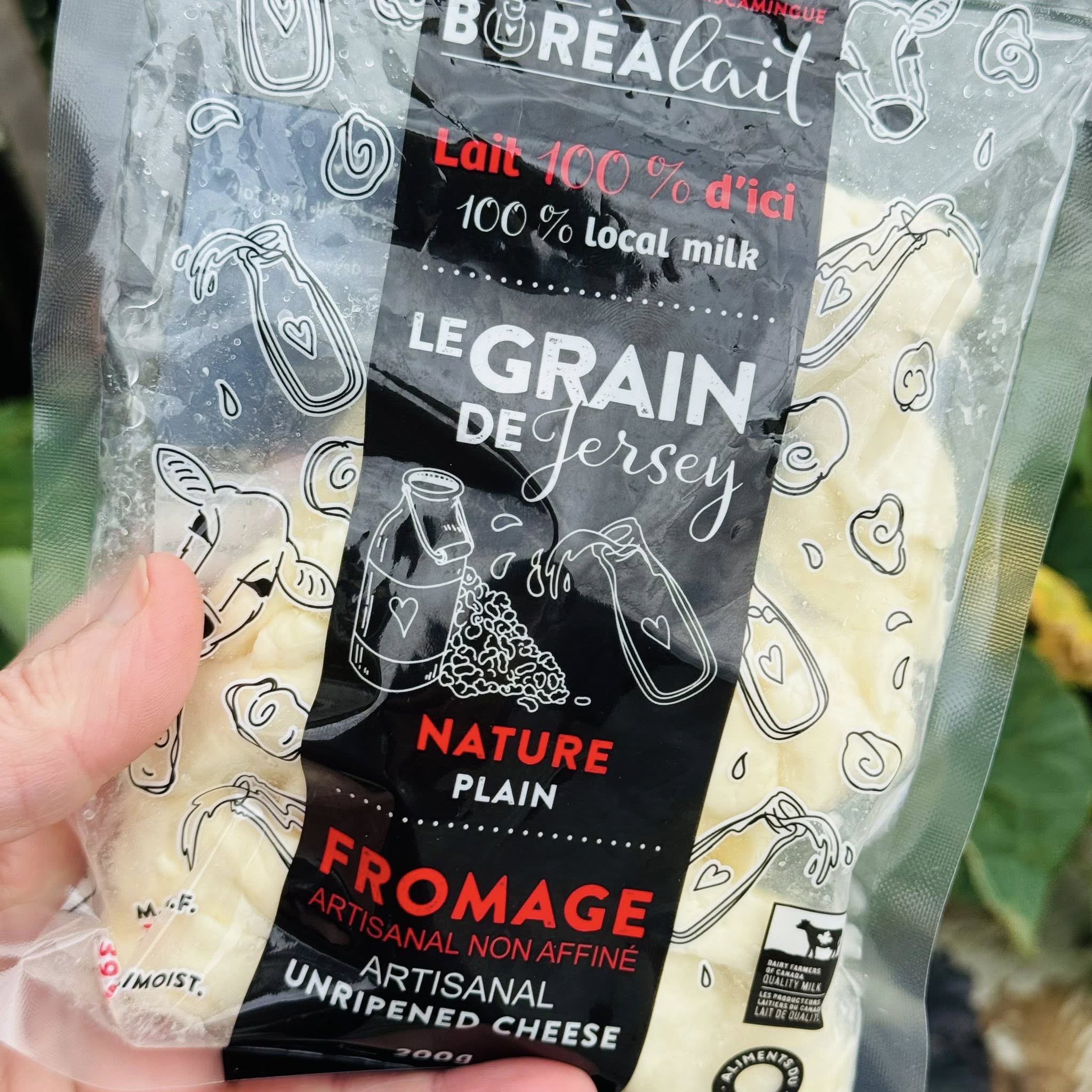 Fromage en grains nature